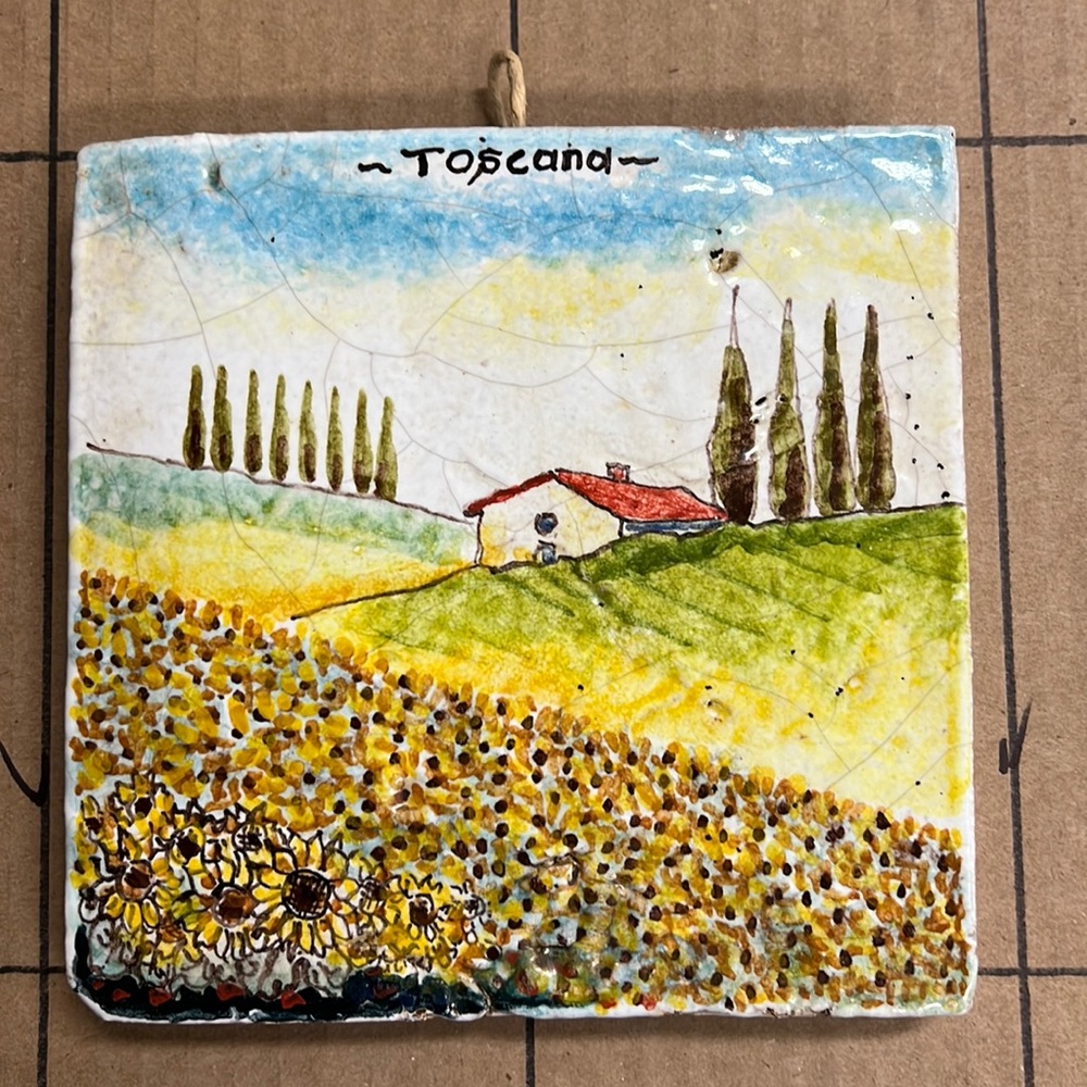 6x6 Hand Painted Tuscan Stone